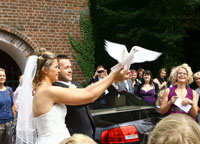 hochzeit_mini_08